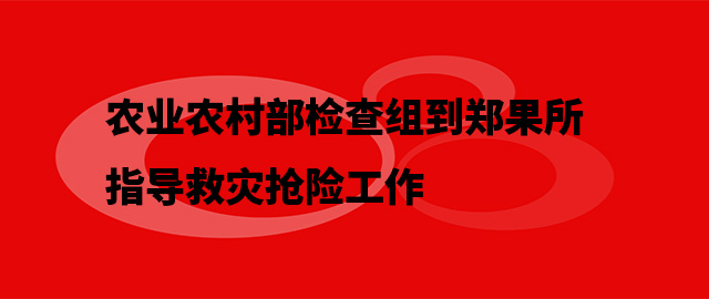 农业农村部检查组到郑果所指导救灾抢险工作