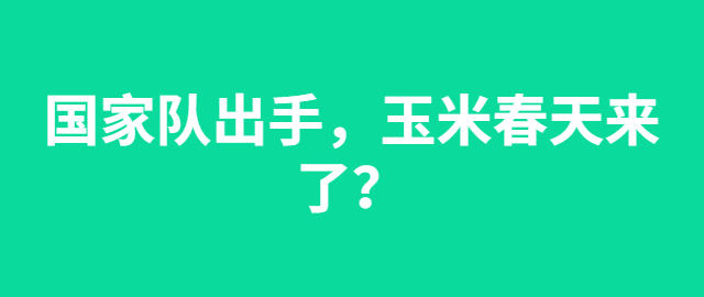 【独家】国家队出手，玉米春天来了？