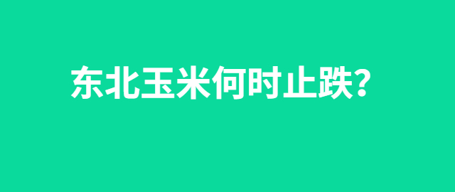 【独家】东北玉米何时止跌？