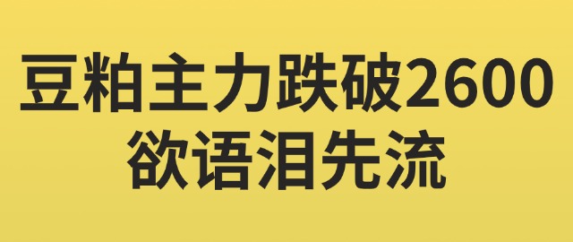 【独家】豆粕主力跌破2600，欲语泪先流