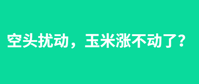 【獨(dú)家】空頭擾動(dòng)，玉米漲不動(dòng)了？