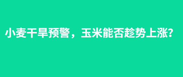 【独家】小麦干旱预警，玉米能否趁势上涨？