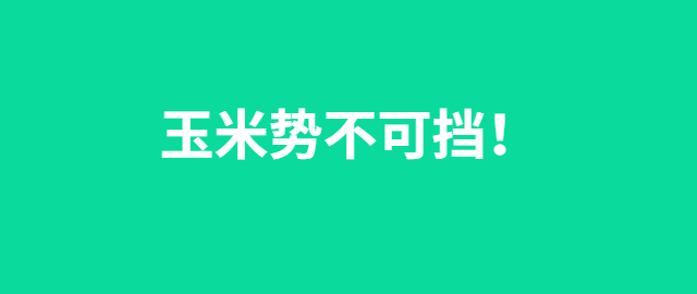 【独家】玉米势不可挡！