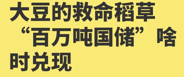 【独家】大豆的救命稻草“百万吨国储”啥时兑现