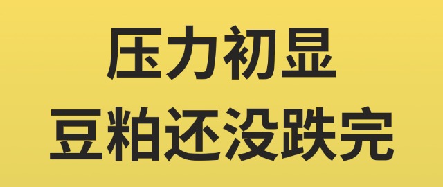 【独家】压力初显，豆粕还没跌完！
