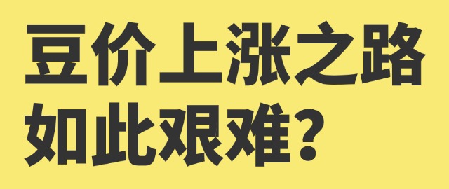【独家】豆价上涨之路如此艰难？