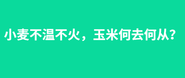 【獨家】玉米橫盤震蕩，小麥托市將啟？