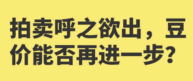 【独家】拍卖呼之欲出，豆价能否再进一步？