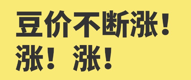 【独家】豆价不断涨！涨！涨！
