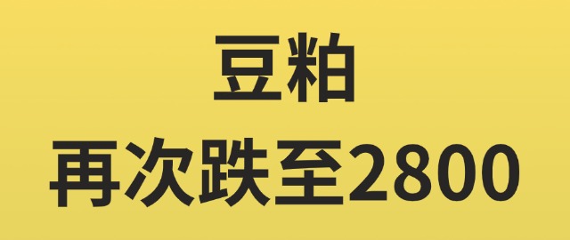 【独家】豆粕现货价格再次跌至2800