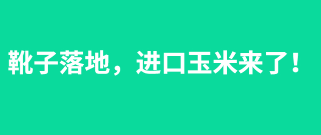 【独家】靴子落地，进口玉米来了！