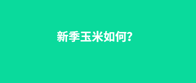 【独家】新季玉米如何？