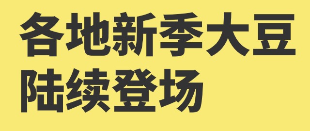 【独家】各地新季大豆陆续登场