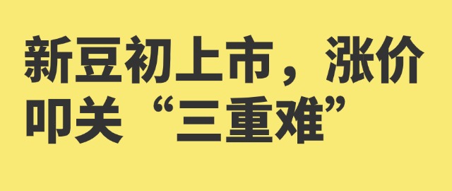 【獨家】新豆初上市，漲價叩關(guān)“三重難”