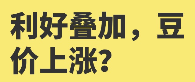 【独家】利好叠加，豆价上涨？