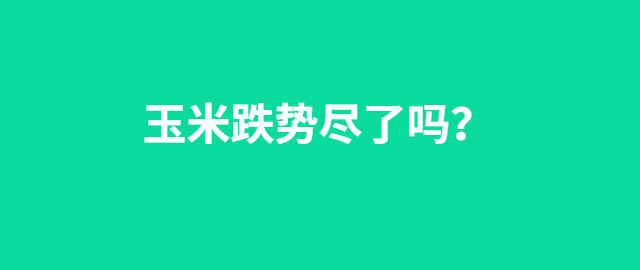 【独家】玉米跌势尽了吗？