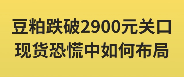 【独家】豆粕跌破2900元关口，现货恐慌中如何布局？