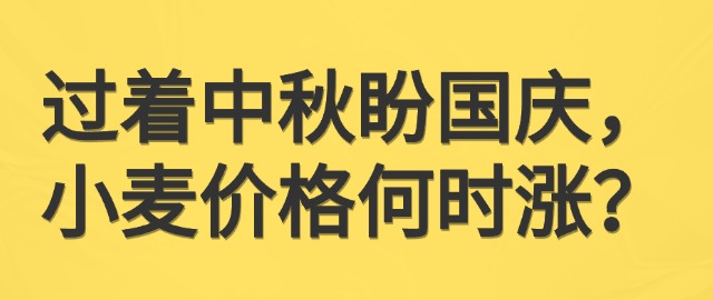 【独家】过着中秋盼国庆，小麦价格何时涨？