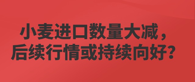 【独家】小麦进口数量大减，后续行情或持续向好？