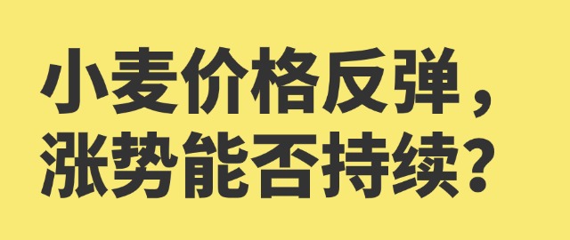 【独家】小麦价格反弹，涨势能否持续？