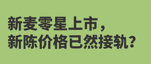 【独家】新麦零星上市，新陈价格已然接轨？