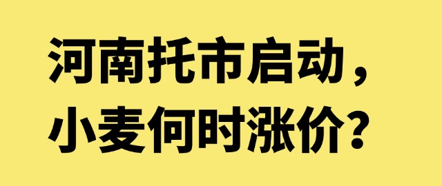 【独家】河南托市启动，小麦何时涨价？