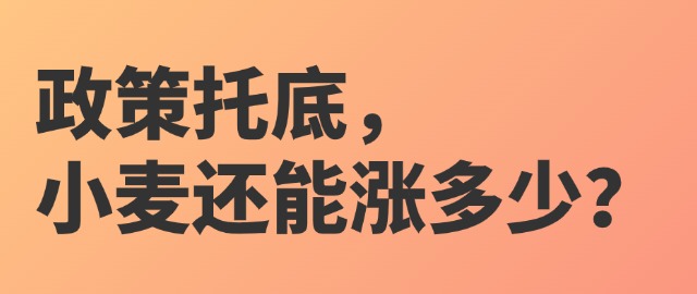 【独家】政策托底，小麦还能涨多少？
