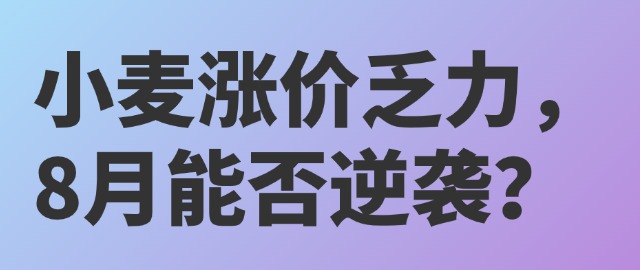 【獨家】小麥漲價乏力，8月能否逆襲？