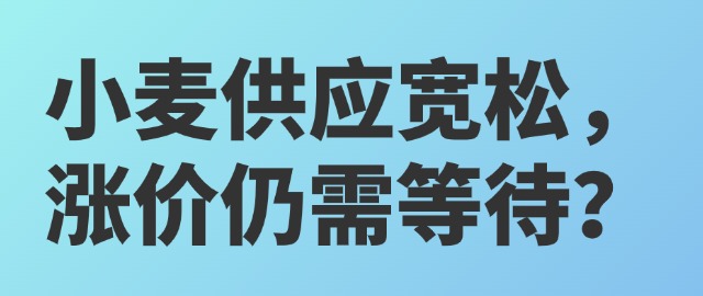 【独家】小麦供应宽松，涨价仍需等待？