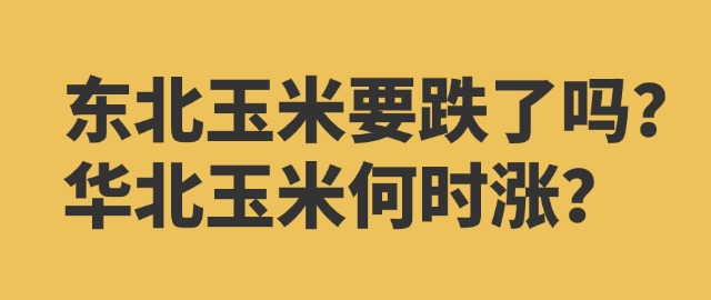 【独家】东北玉米要跌了吗？华北玉米何时涨？
