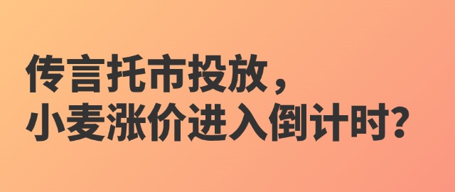 【独家】传言托市投放，小麦涨价进入倒计时？