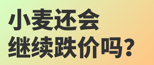 【独家】小麦还会继续跌价吗？